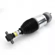 Armortisseur pneumatique Arnott AS-4411 - Visuel 1