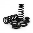 Jeu de suspensions, ressorts/amortisseurs Arnott C-3535 - Visuel 2