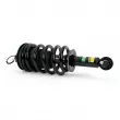 Amortisseurs avant Arnott MR-3840 - Visuel 2