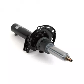 Amortisseurs avant Arnott MR-3852