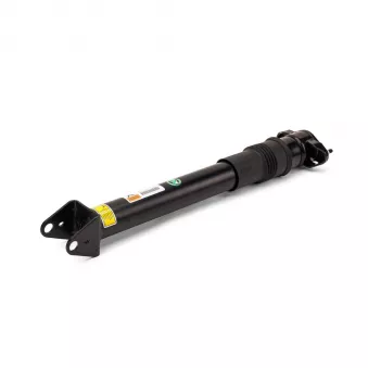 Jeu de 2 amortisseurs arrière Arnott SK-3356