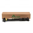 Jeu de 2 amortisseurs arrière Arnott SK-3356 - Visuel 3