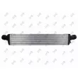 Intercooler, échangeur ABAKUS 003-018-0020 - Visuel 2