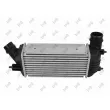 Intercooler, échangeur ABAKUS 009-018-0026 - Visuel 2