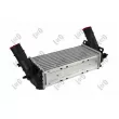 Intercooler, échangeur ABAKUS 017-018-0023 - Visuel 2