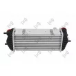 Intercooler, échangeur ABAKUS 019-018-0004 - Visuel 2