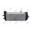 Intercooler, échangeur ABAKUS 019-018-0005 - Visuel 2