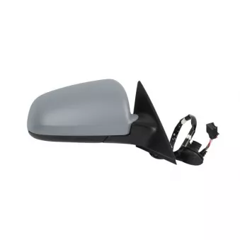 Rétroviseur extérieur ABAKUS 0209M02
