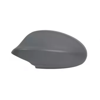 Revêtement, rétroviseur extérieur ABAKUS 0412C01