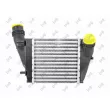 Intercooler, échangeur ABAKUS 042-018-0012 - Visuel 1