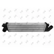 Intercooler, échangeur ABAKUS 042-018-0015 - Visuel 1