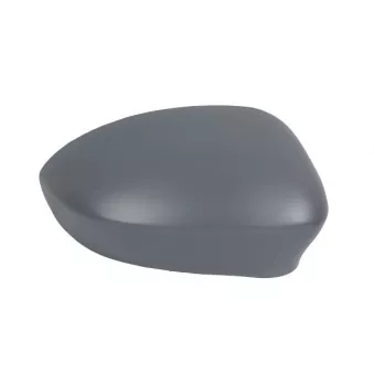 Revêtement, rétroviseur extérieur ABAKUS 1101C04