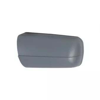 Revêtement, rétroviseur extérieur ABAKUS 2409C01