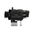 Alternateur Henkel Parts 3121480 - Visuel 2
