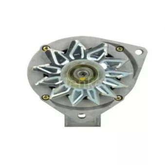 Alternateur Henkel Parts