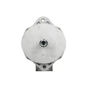 Alternateur Henkel Parts