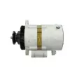 Alternateur Henkel Parts 3127515 - Visuel 2