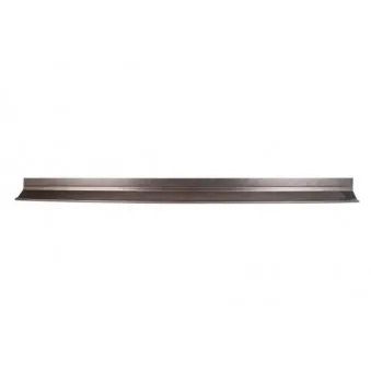 Marche-pied BLIC 1020-59-003343P