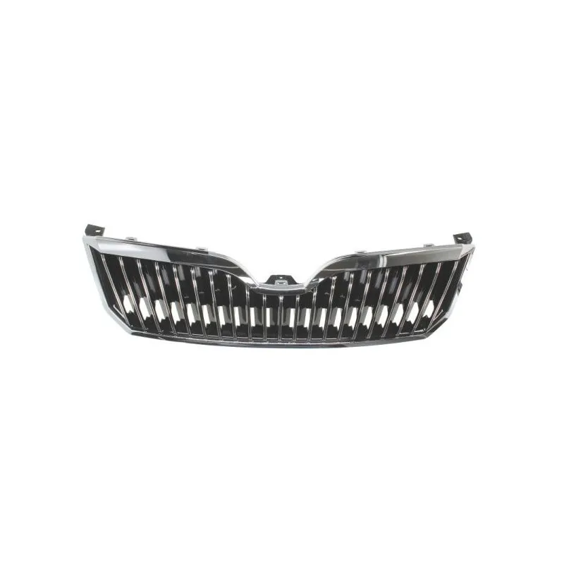 Grille de radiateur BLIC 1023-17-014530P