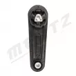 Support moteur MERTZ M-S4195 - Visuel 1