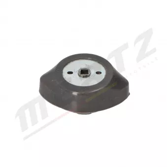 Suspension, boîte automatique MERTZ M-S4341