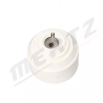 Support moteur MERTZ