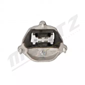 Suspension, boîte automatique MERTZ M-S5002