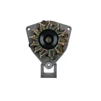 Alternateur BV PSH 015.004.065.310
