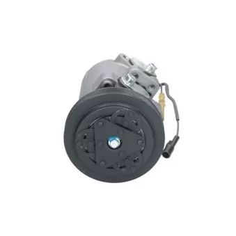 Compresseur, climatisation BV PSH 090.015.033.200