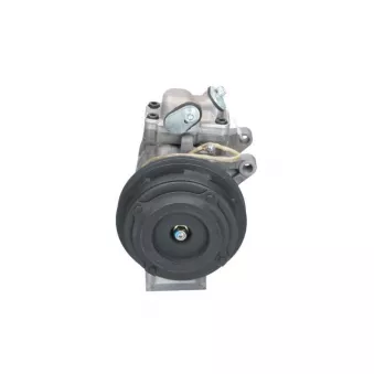 Compresseur, climatisation BV PSH 090.015.058.050