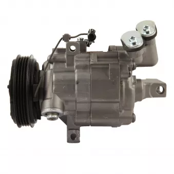 Compresseur, climatisation BV PSH 090.135.001.000