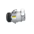 Compresseur, climatisation BV PSH 090.135.023.200 - Visuel 2
