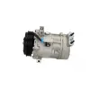 Compresseur, climatisation BV PSH 090.135.052.876 - Visuel 2