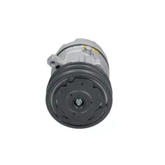 Compresseur, climatisation BV PSH 090.135.076.200