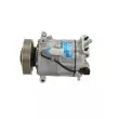 Compresseur, climatisation BV PSH 090.135.083.905 - Visuel 2