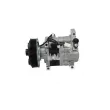 Compresseur, climatisation BV PSH 090.145.011.200 - Visuel 2