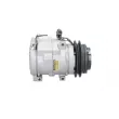 Compresseur, climatisation BV PSH 090.155.005.050 - Visuel 3