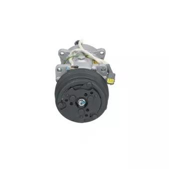Compresseur, climatisation BV PSH 090.165.096.200