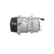 Compresseur, climatisation BV PSH 090.165.096.200 - Visuel 2