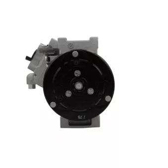 Compresseur, climatisation BV PSH 090.185.010.500
