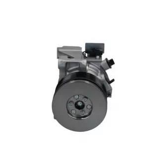 Compresseur, climatisation BV PSH 090.185.021.500