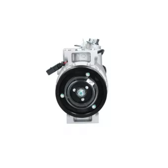 Compresseur, climatisation BV PSH 090.205.002.500