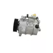Compresseur, climatisation BV PSH 090.215.009.260 - Visuel 2