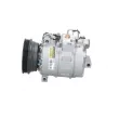 Compresseur, climatisation BV PSH 090.215.044.050 - Visuel 2