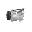 Compresseur, climatisation BV PSH 090.225.016.090 - Visuel 2
