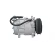 Compresseur, climatisation BV PSH 090.225.016.090 - Visuel 3