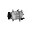 Compresseur, climatisation BV PSH 090.305.005.876 - Visuel 2