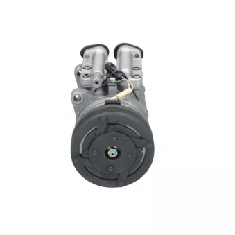 Compresseur, climatisation BV PSH 090.505.063.200