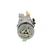 Compresseur, climatisation BV PSH 090.595.014.020 - Visuel 1
