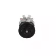 Compresseur, climatisation BV PSH 090.805.001.907 - Visuel 1